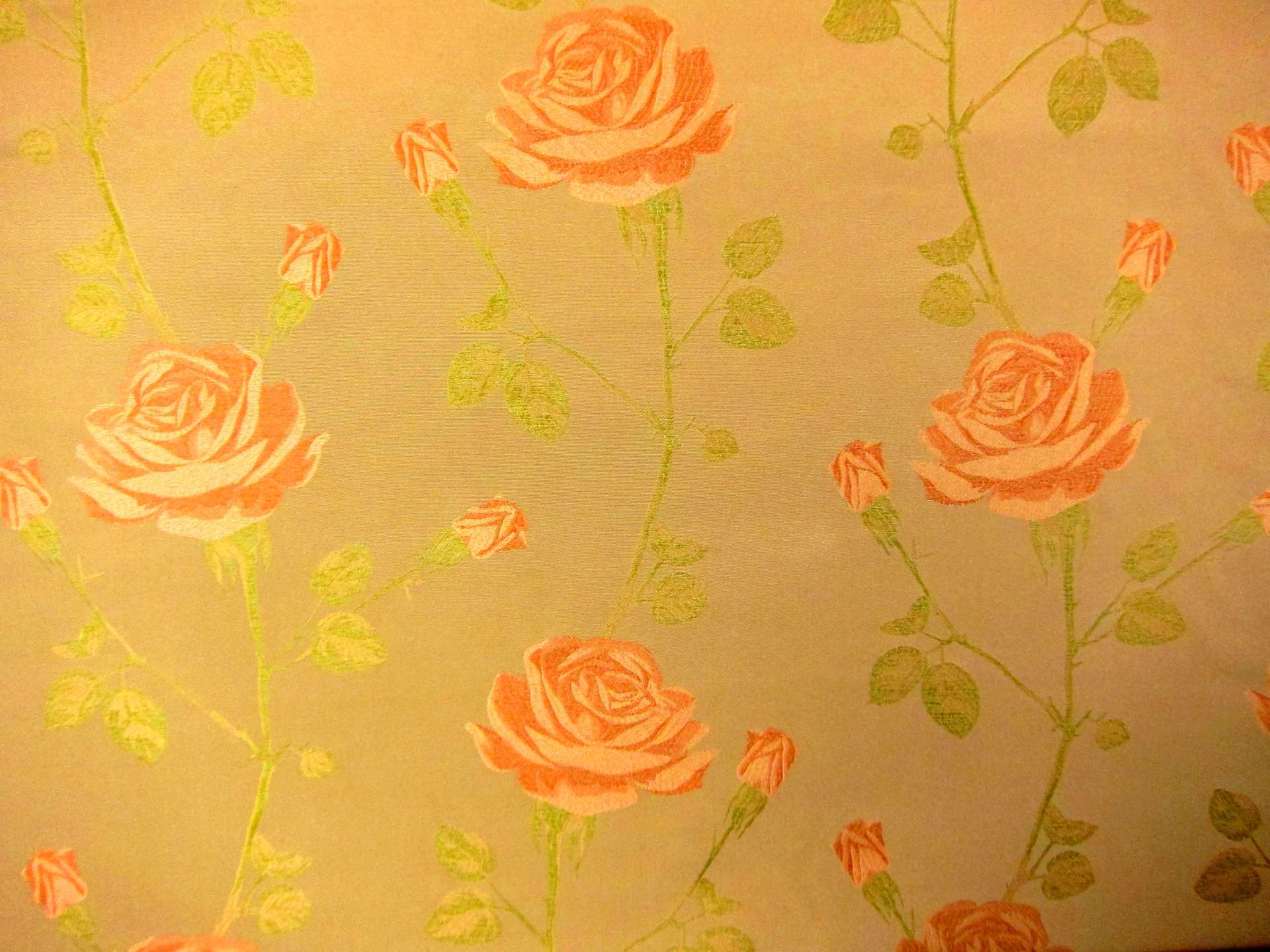 Silk Brocade0