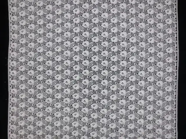 Guipure Lace3