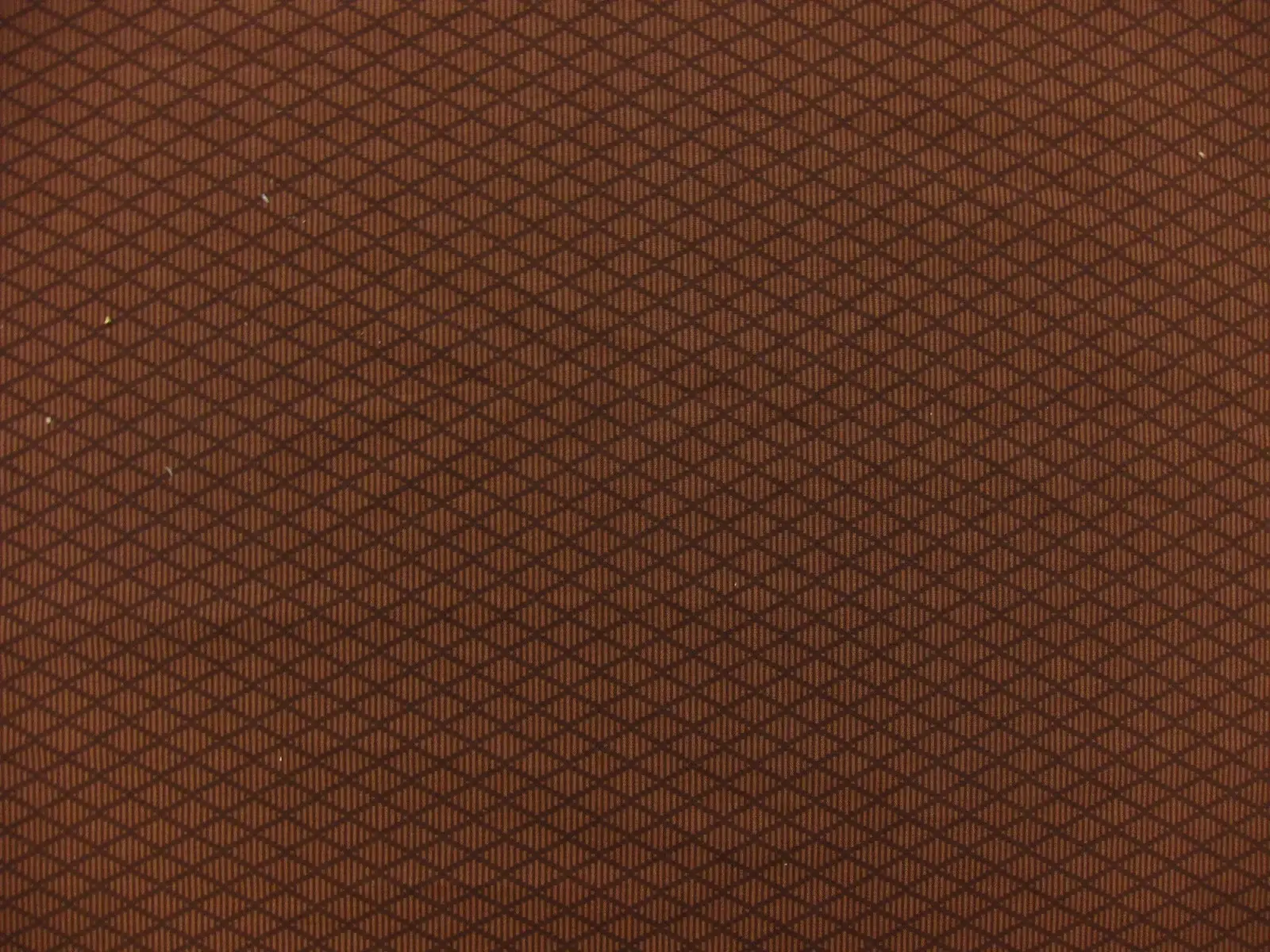 Cotton Broadcloth Print0