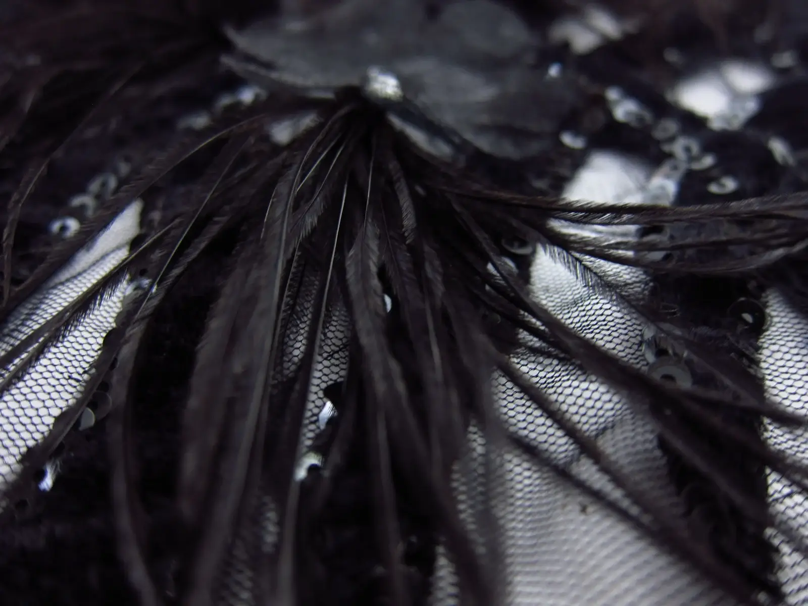 Novelty Velvet Appliquéd Illusion with Feathers2