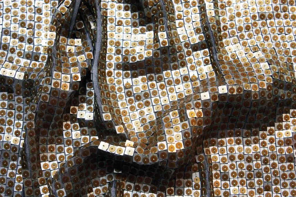 Sequins on Silk Chiffon3