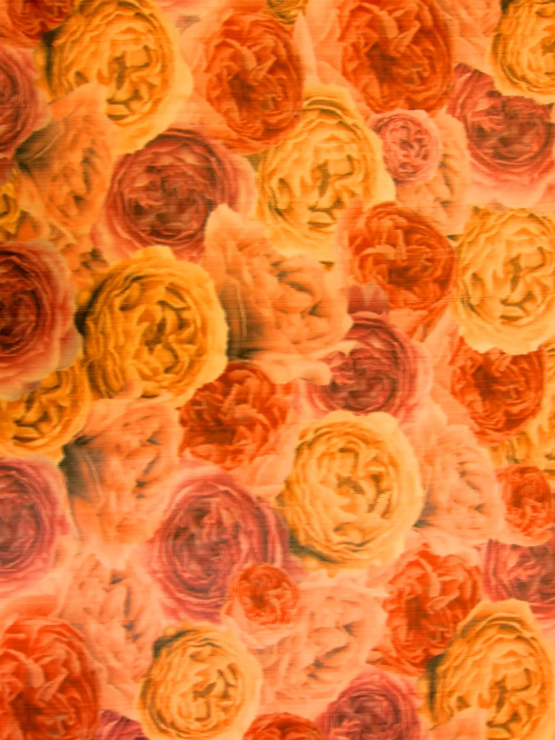 Warp Printed Taffeta0