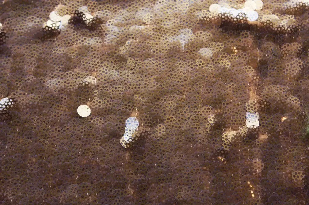 Novelty Paillettes on Silk Chiffon0