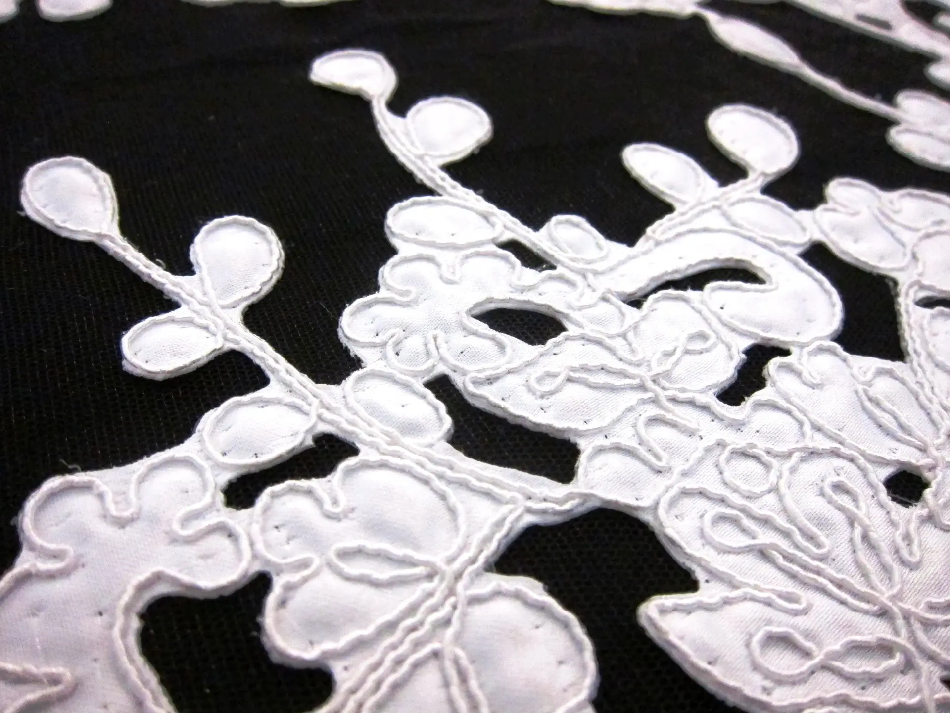 Corded Satin Appliqué on Illusion3