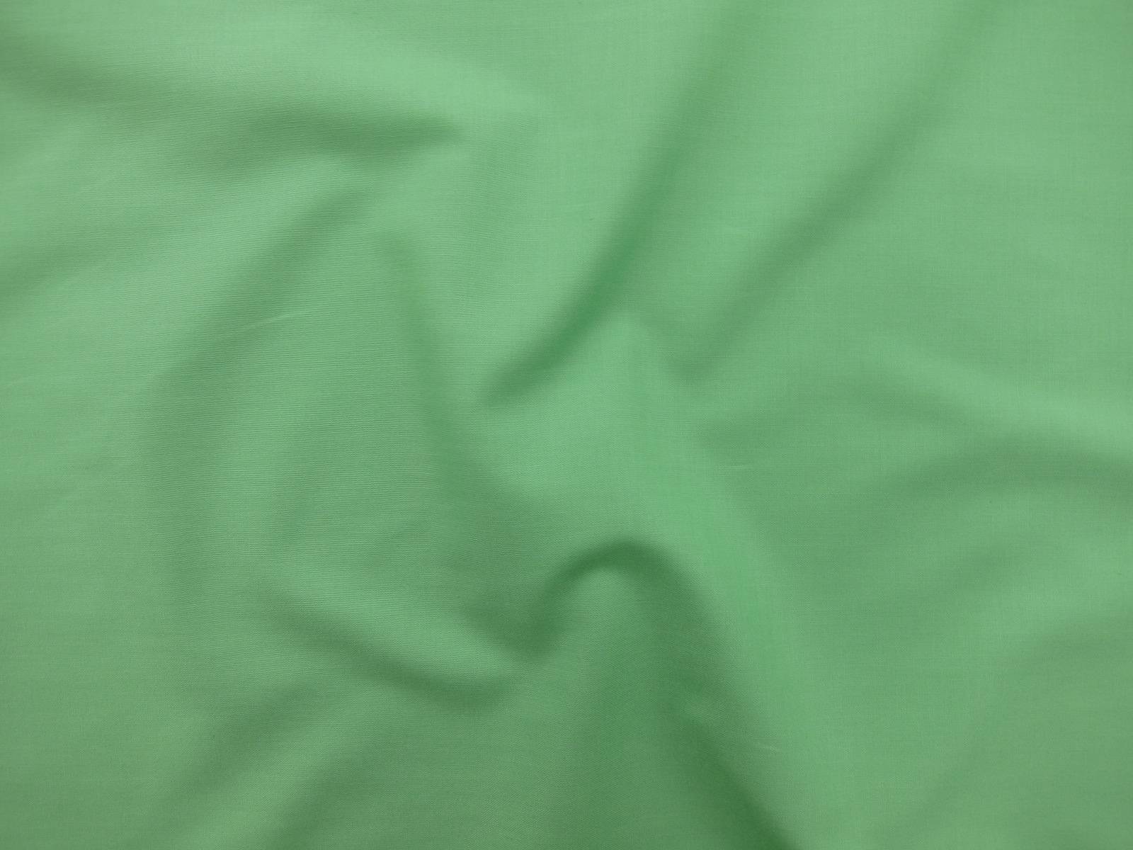 Kona Cotton in Asparagus0