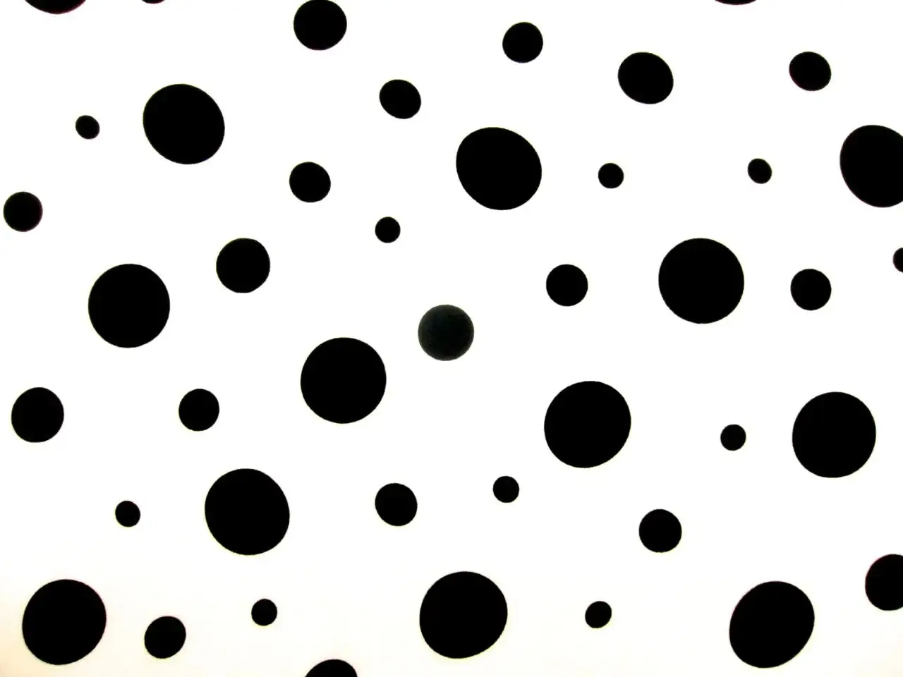 Printed Silk Charmeuse0