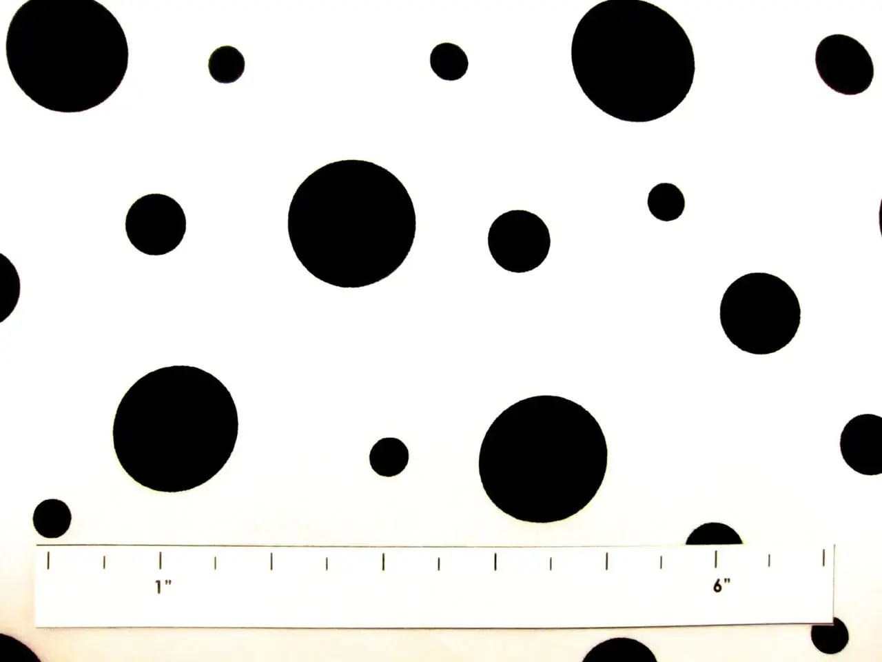 Printed Silk Charmeuse1