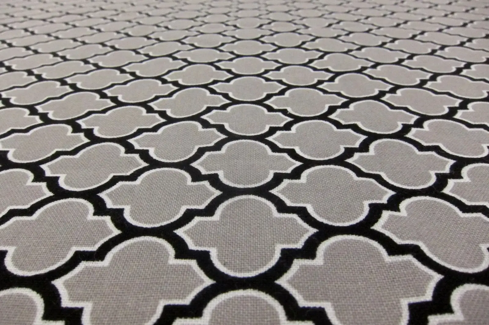Cotton Broadcloth Print2