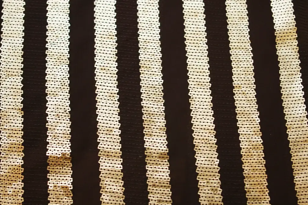 Sequins on Chiffon0