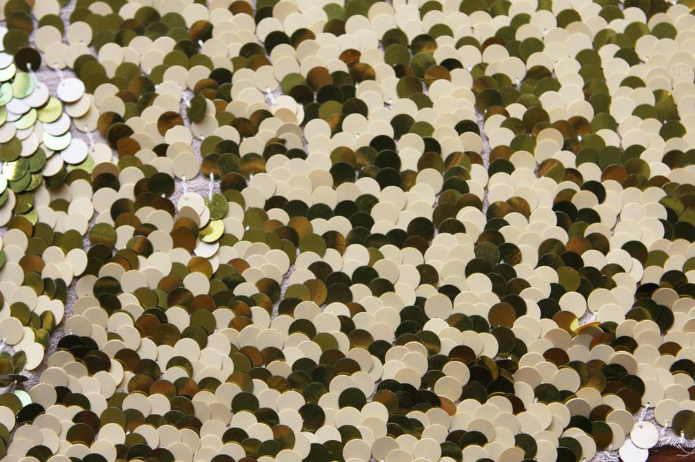 Paillettes on Silk Chiffon0