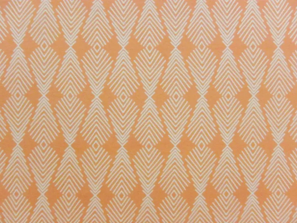 Cotton Lycra Jersey Print0