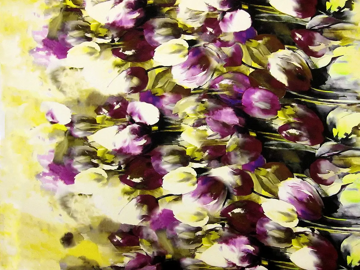 Printed Silk Gazar0