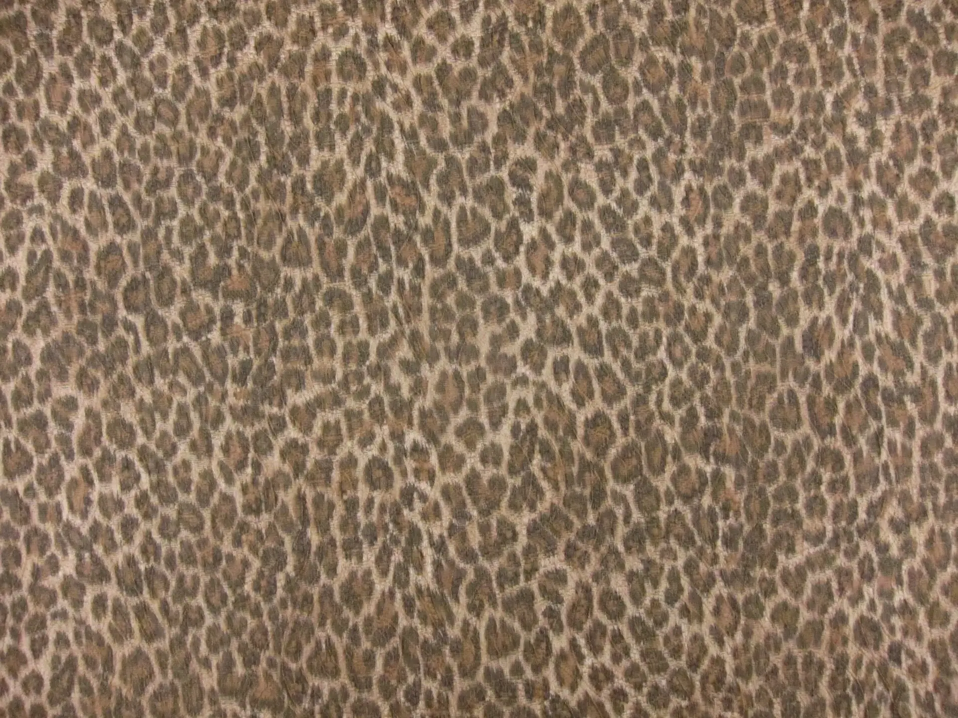  Brocade0