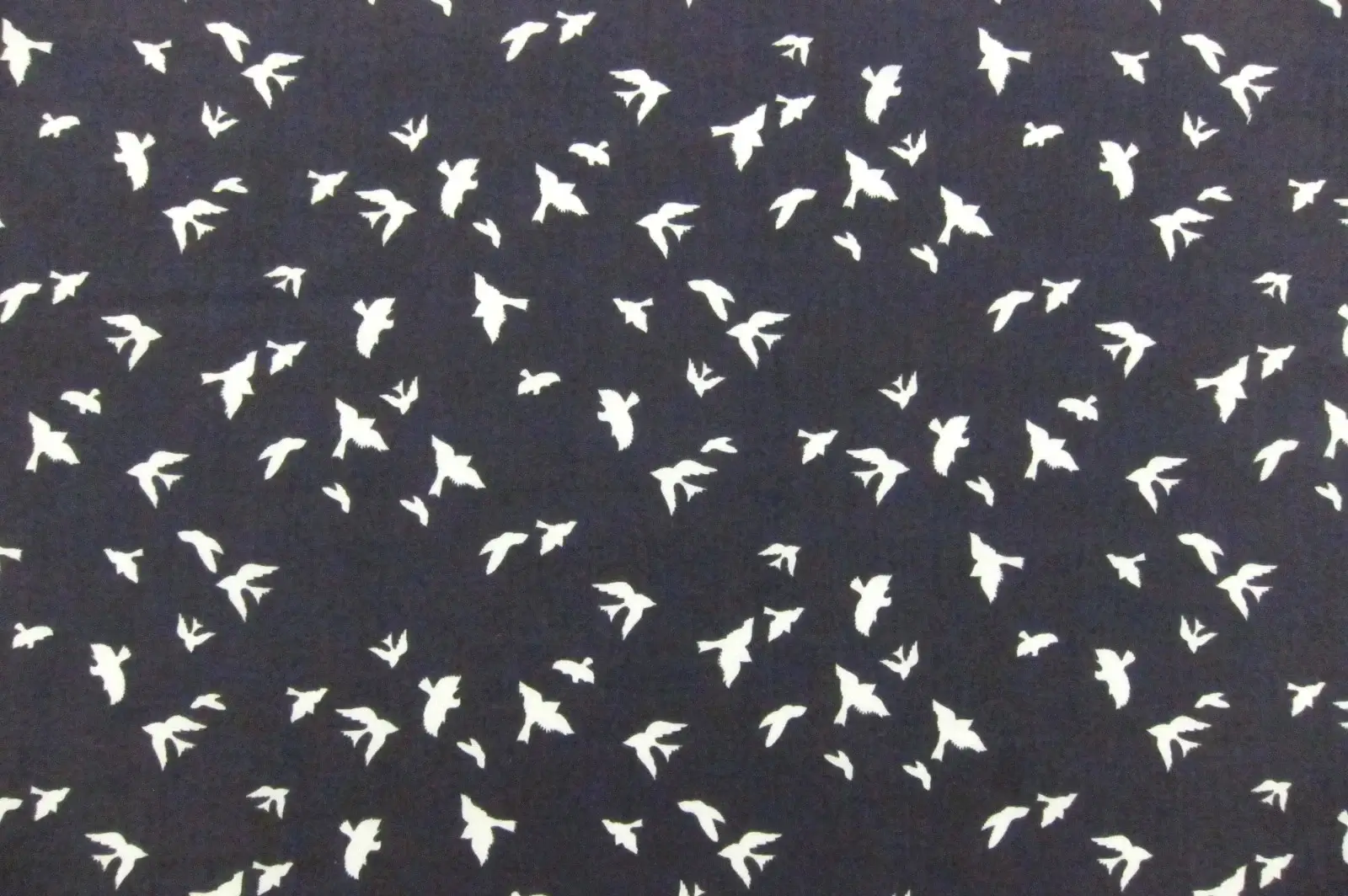 Cotton Broadcloth Print0