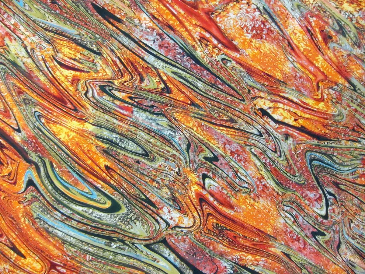 Printed Silk Charmeuse0