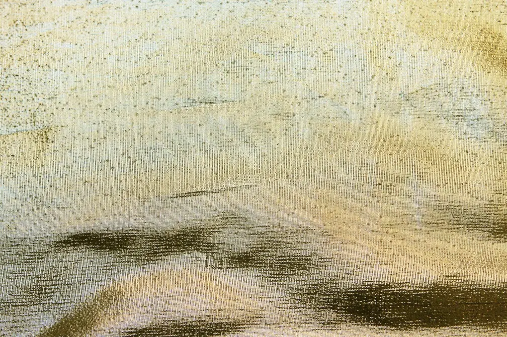 Tissue Lamé in Nugget0