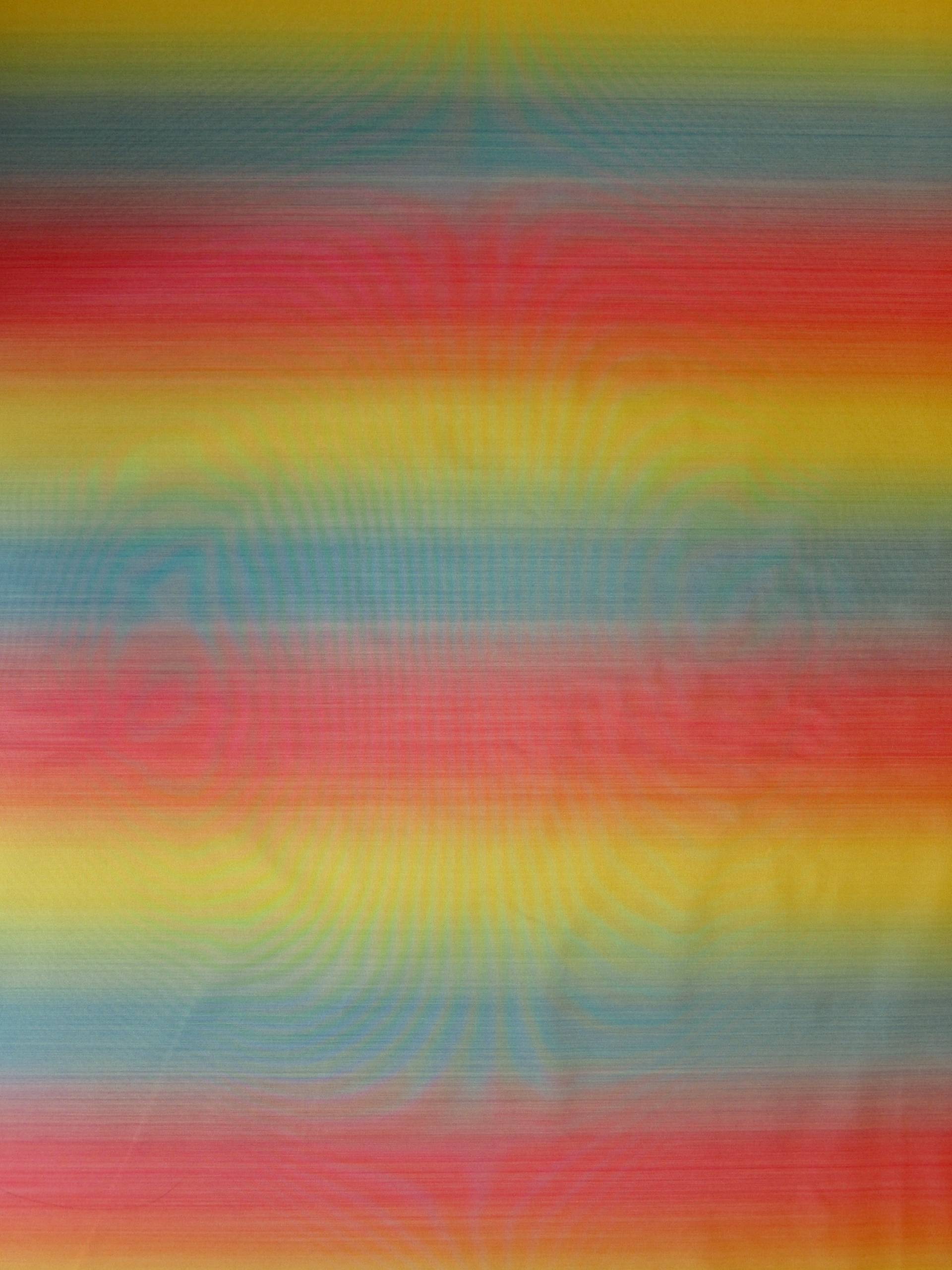 Silk Warp Printed Taffeta0