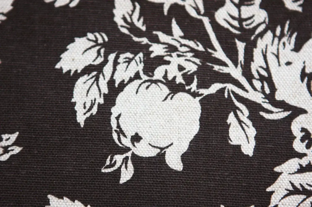 Printed Cotton Rayon Canvas2