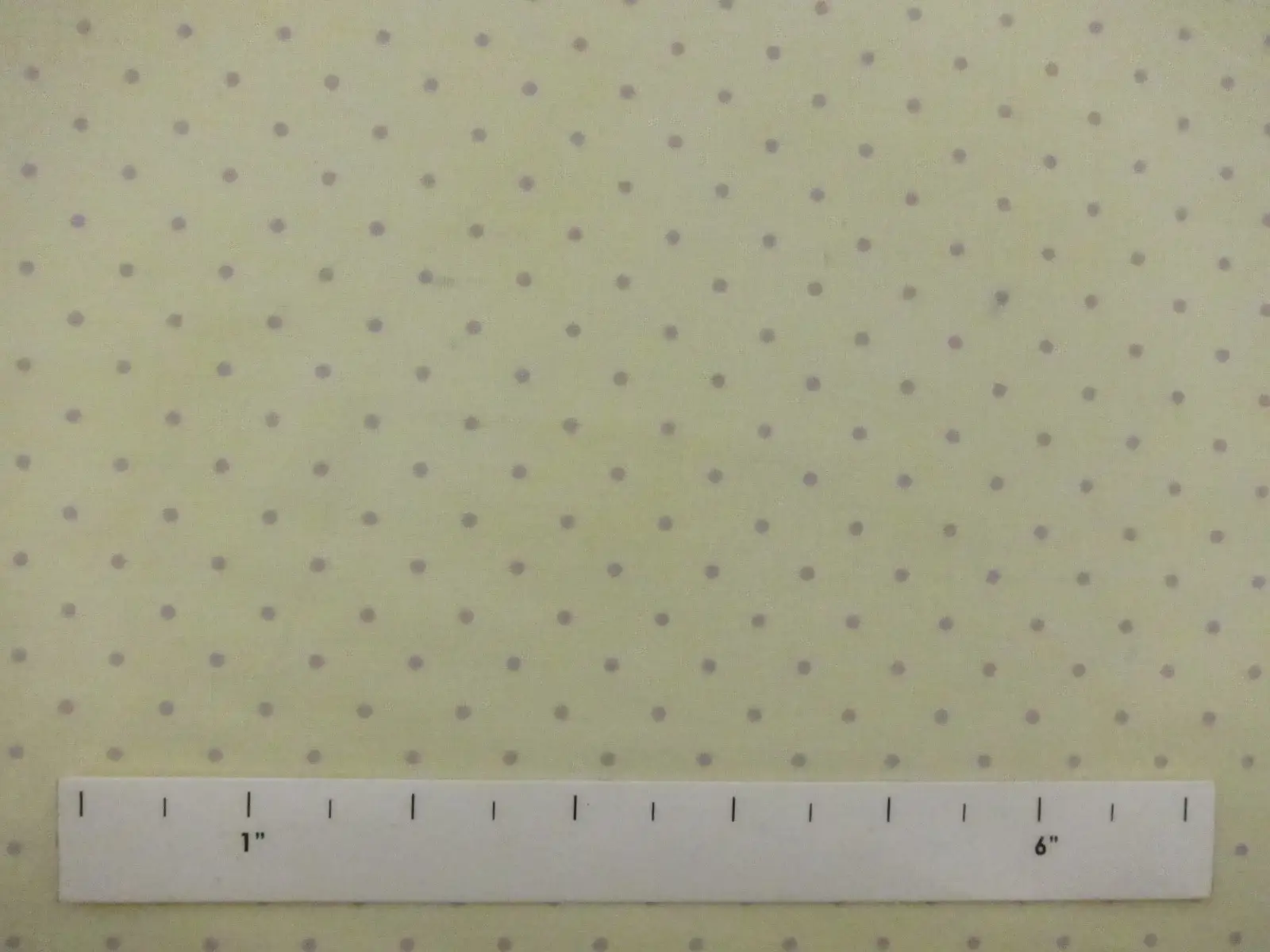 Cotton Broadcloth Print1