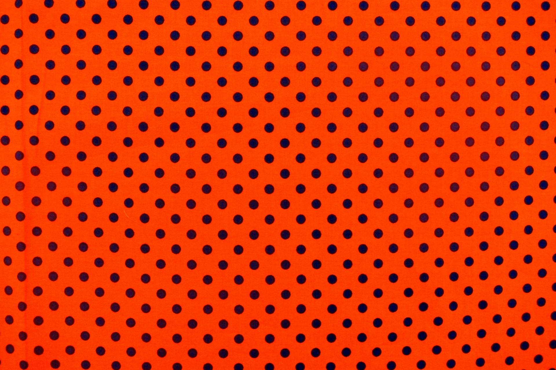 Cotton Broadcloth Print0
