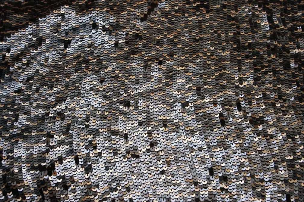 Sequins on Silk Chiffon1