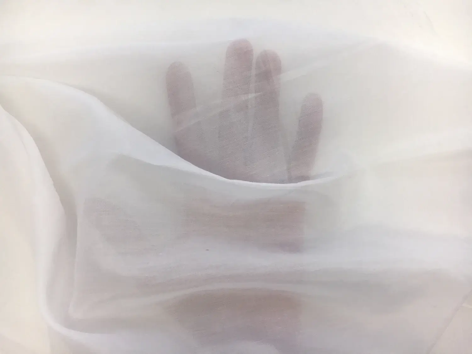 Silk Cotton Voile in White1