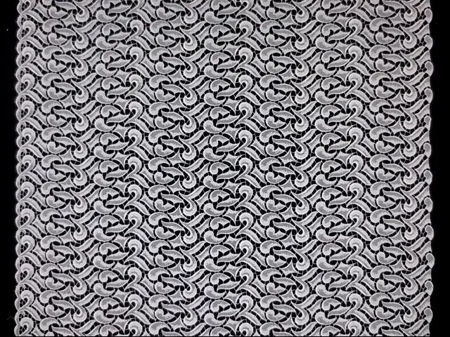 Guipure Lace3
