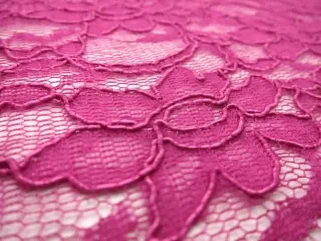 Cotton Nylon Alençon Lace2