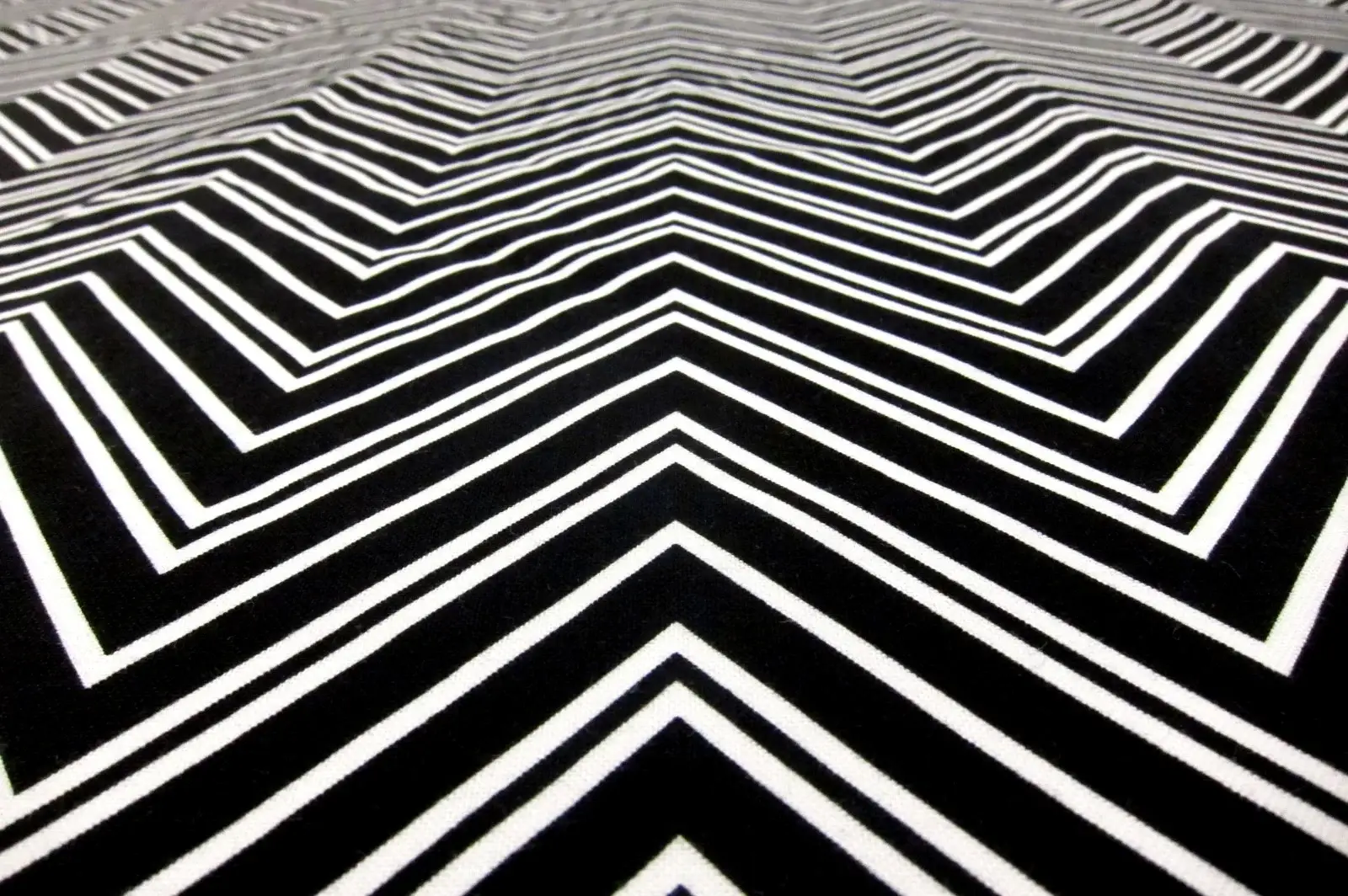 Cotton Broadcloth Print2