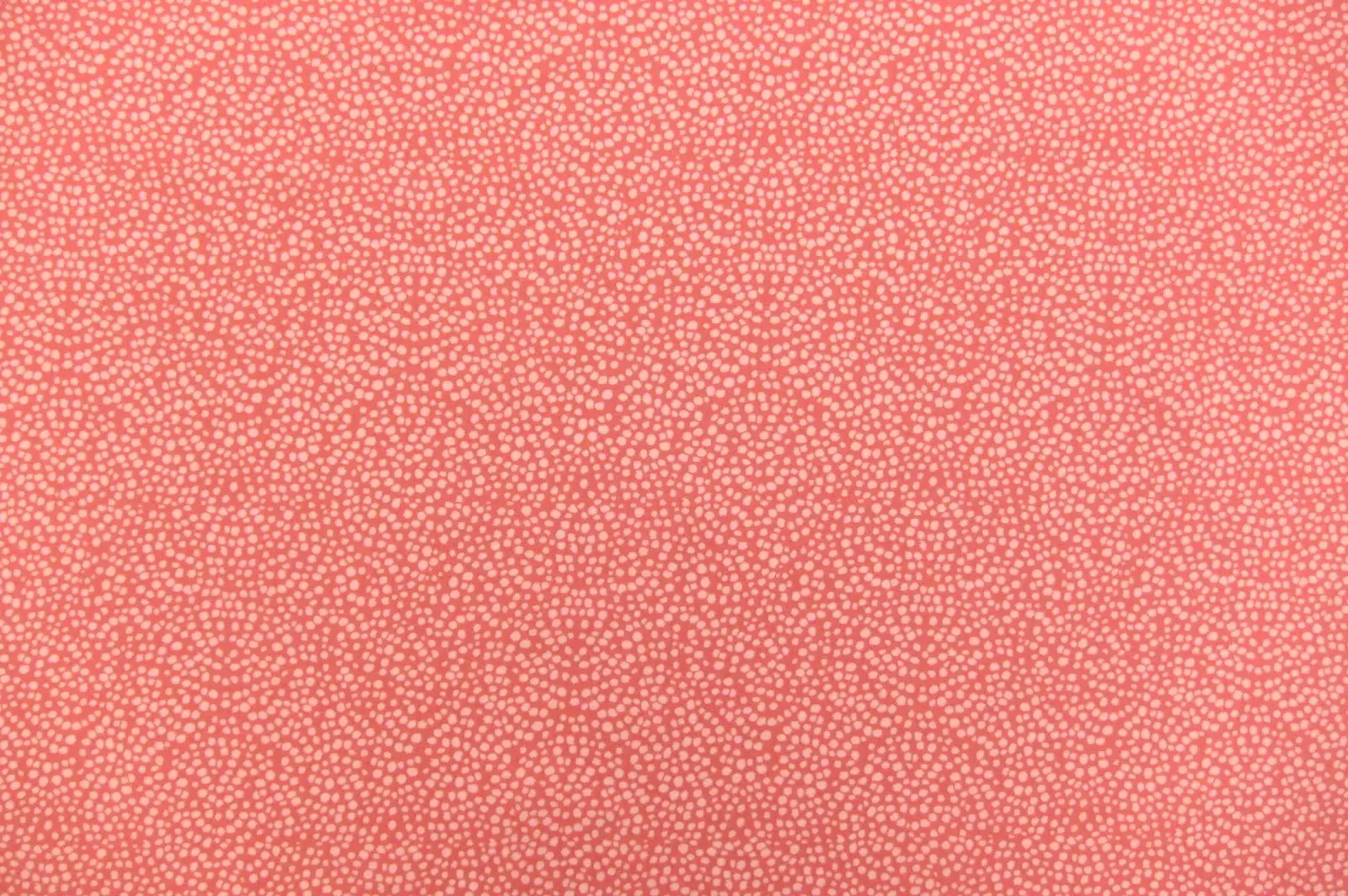 Cotton Broadcloth Print0