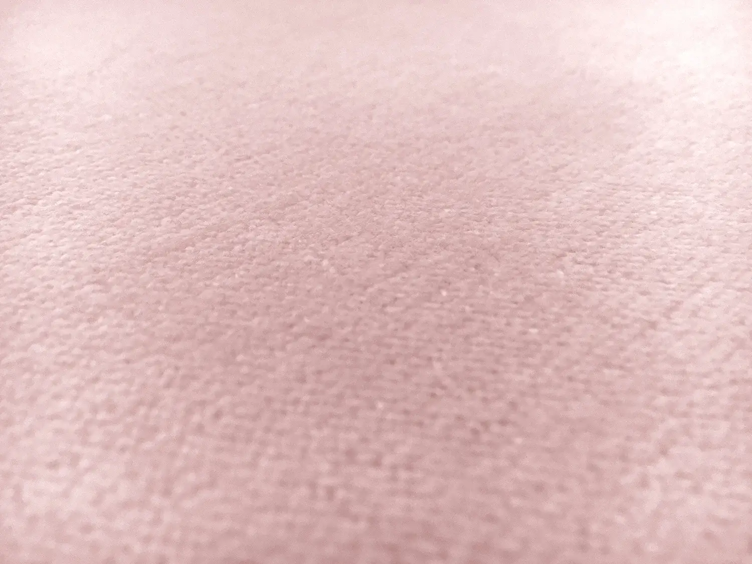 Cotton Terry Velour in Pink2