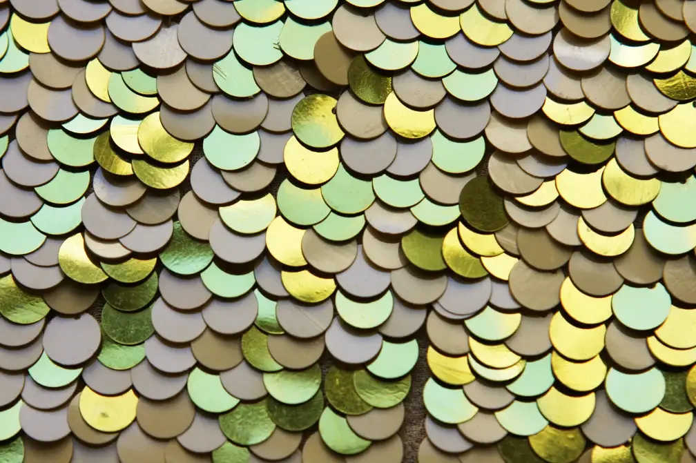 Paillettes on Silk Chiffon3
