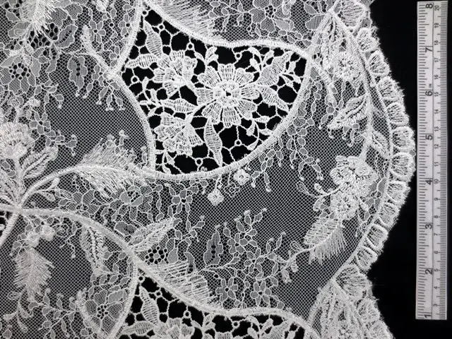 Embroidered Chantilly Lace0