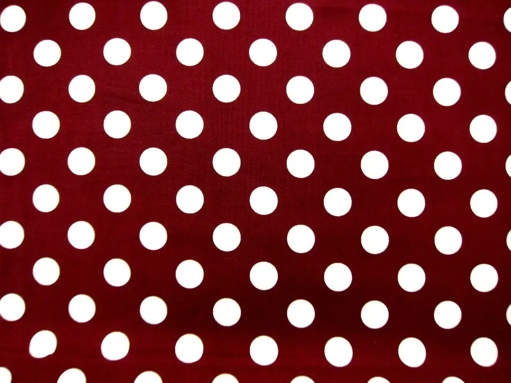 Cotton Broadcloth Print0