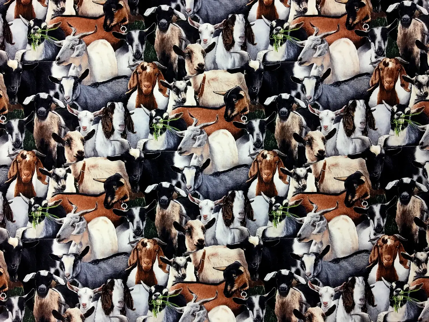Cotton Broadcloth Print 0