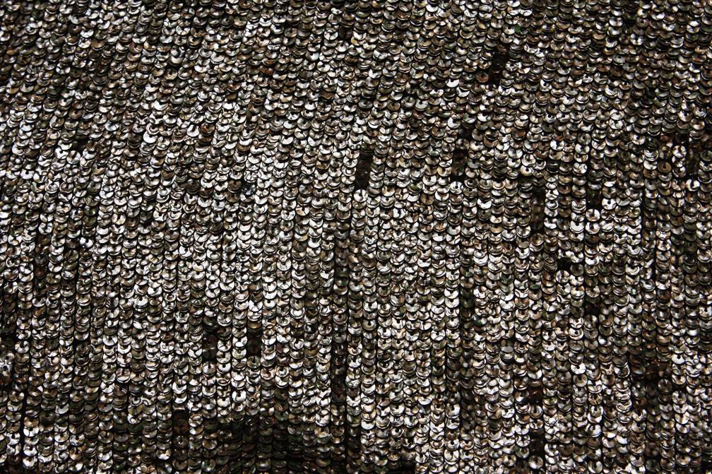 Sequins on Silk Chiffon0