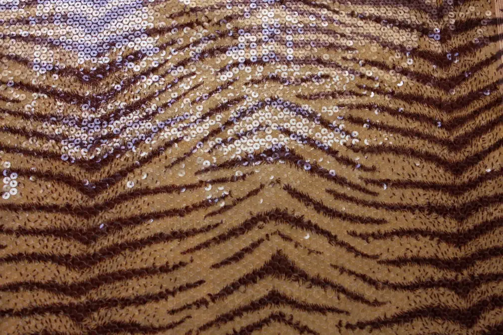 Sequins on Chiffon0