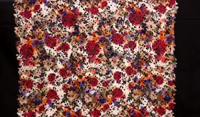 Guipure Lace4
