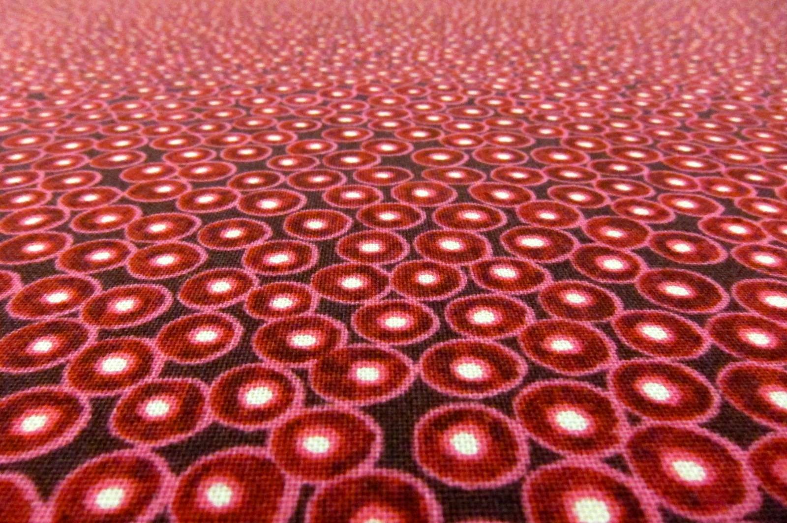 Cotton Broadcloth Print2