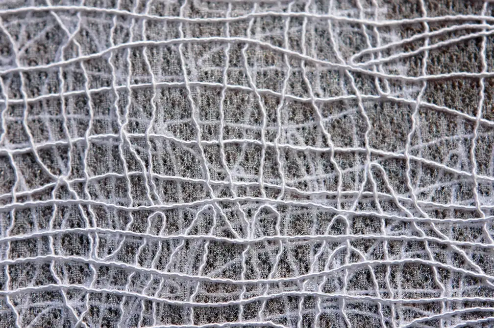 Embroidered Souffle2