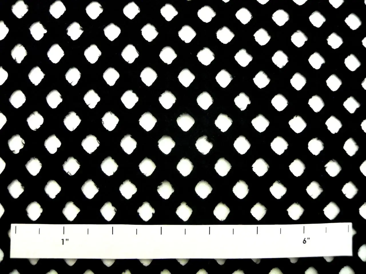 Cotton Eyelet1