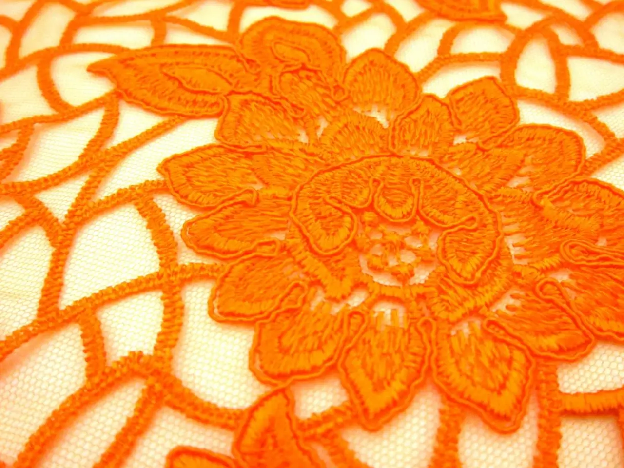Embroidered Tulle2