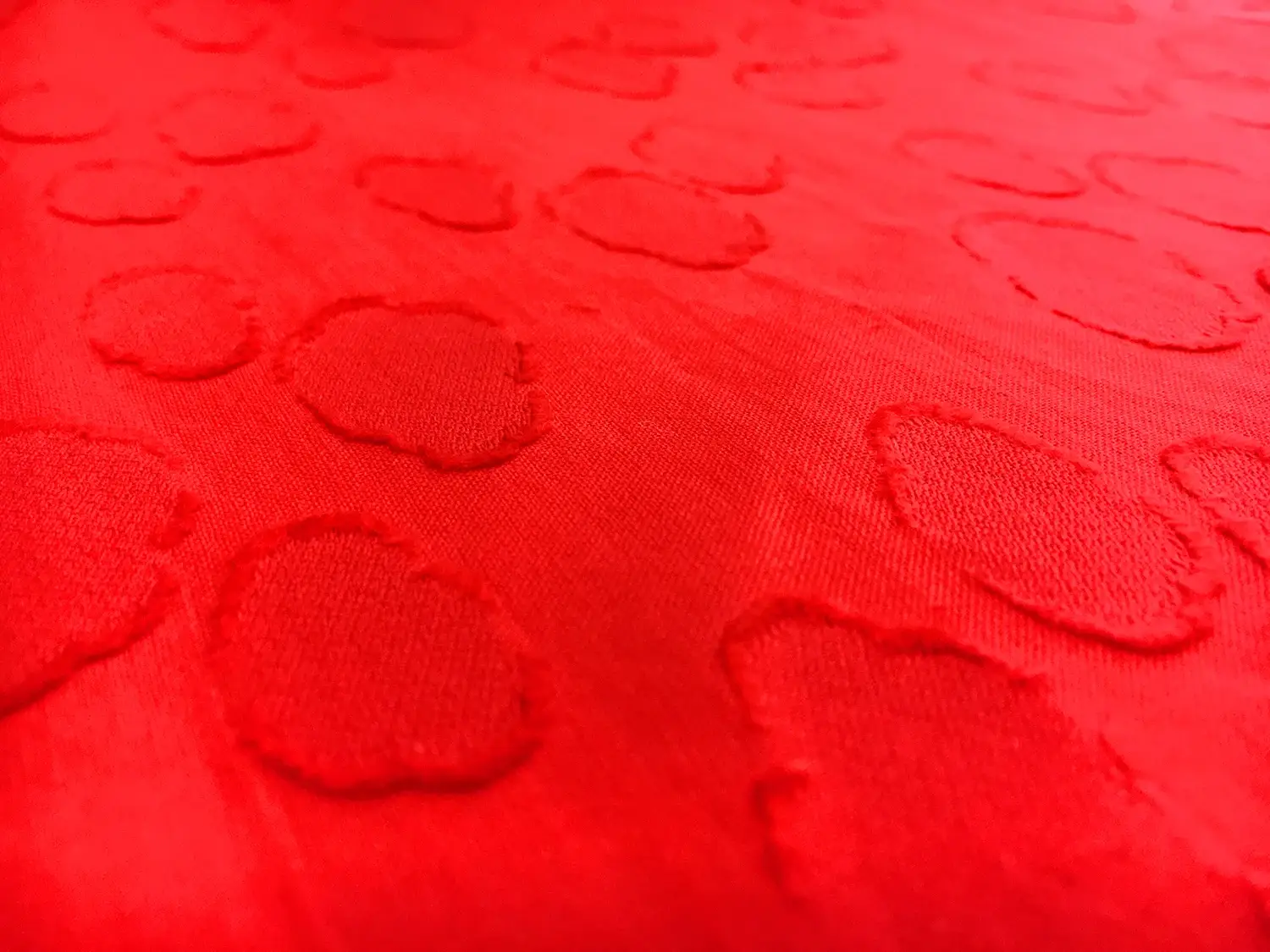 Swiss Cotton Voile Fil Coupe2
