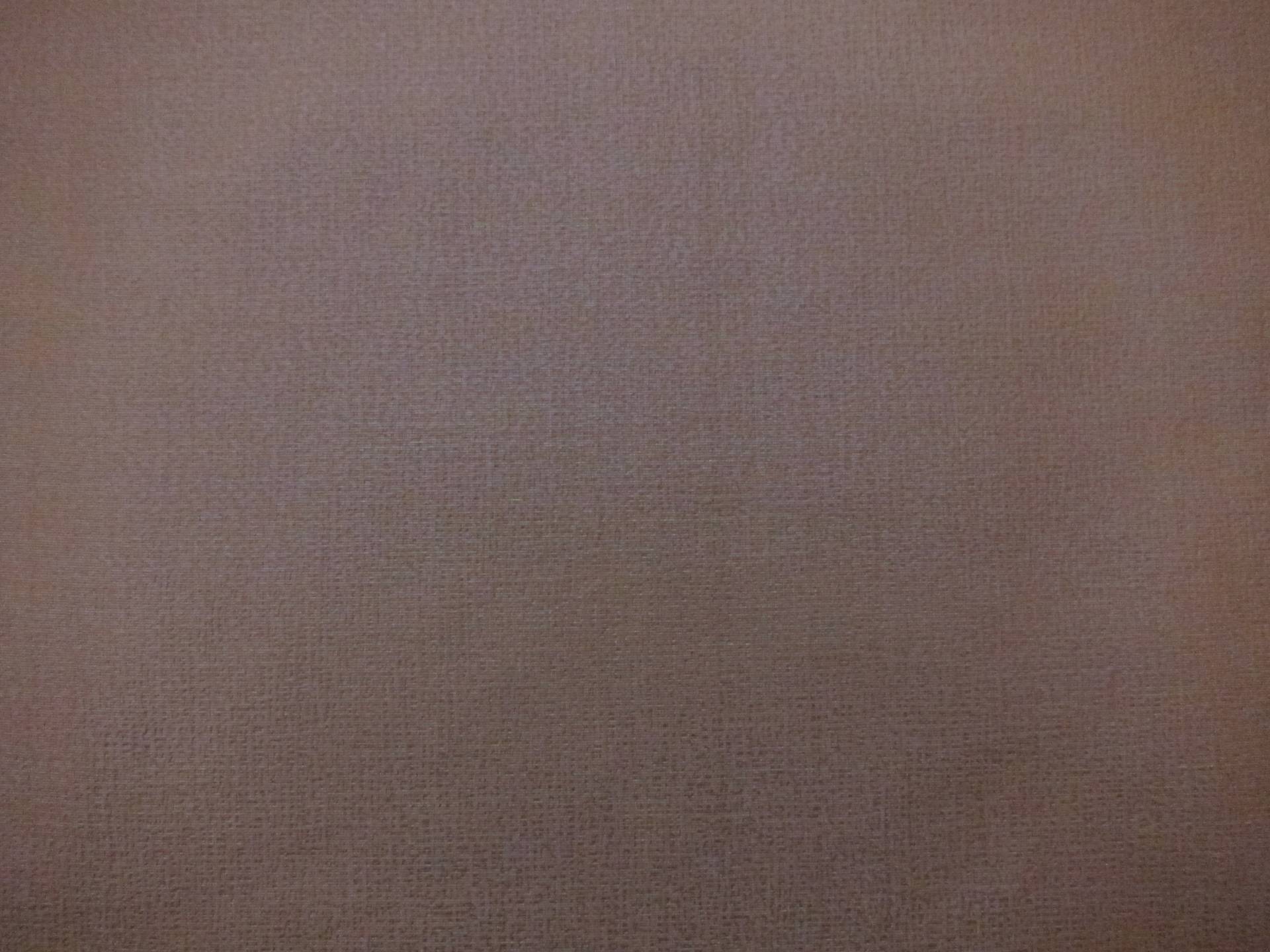 Metallic Taffeta0