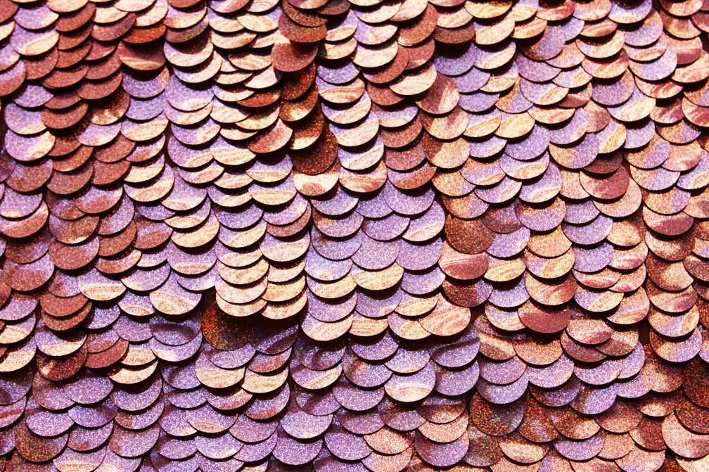 Pailettes on Silk Chiffon0