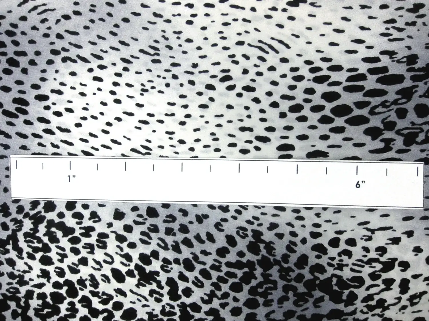 Silk Charmeuse in Snowy Leopard Print1