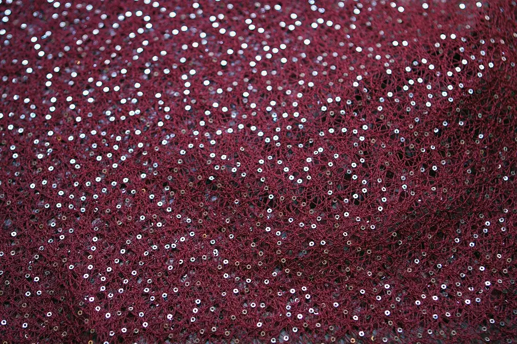 Sequins on Poly Mesh0