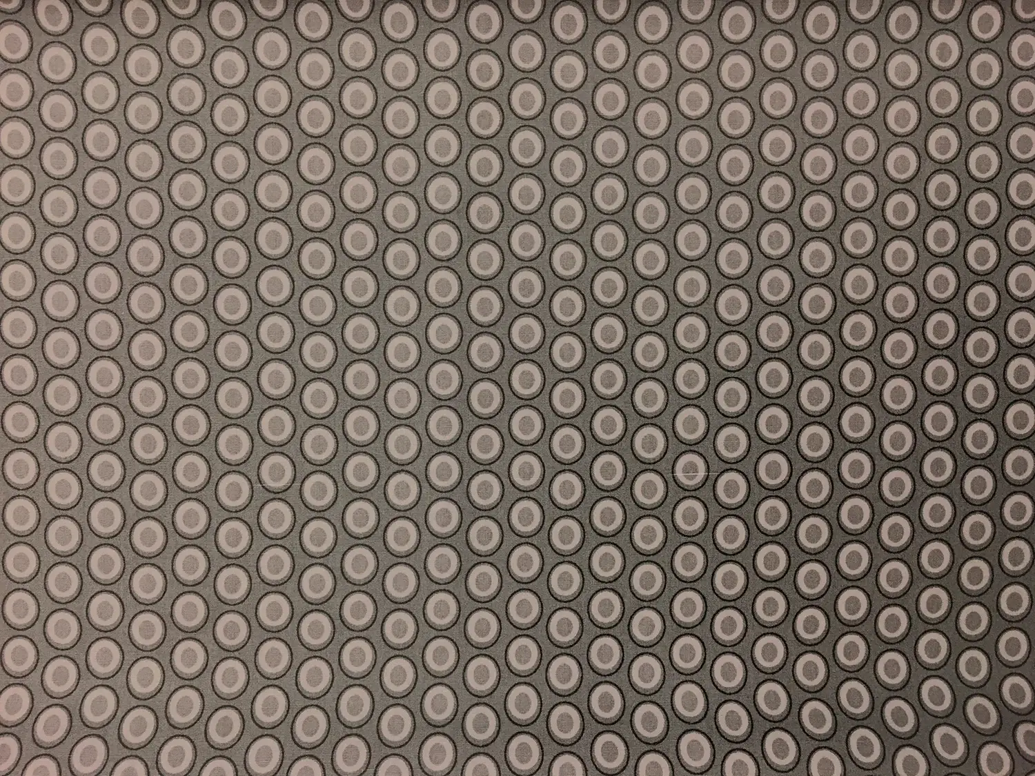 Cotton Broadcloth Print 0