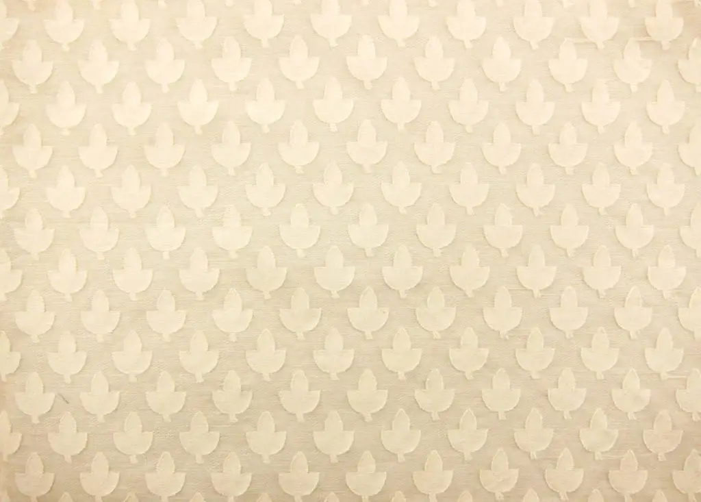 Cotton Fil Coupe0