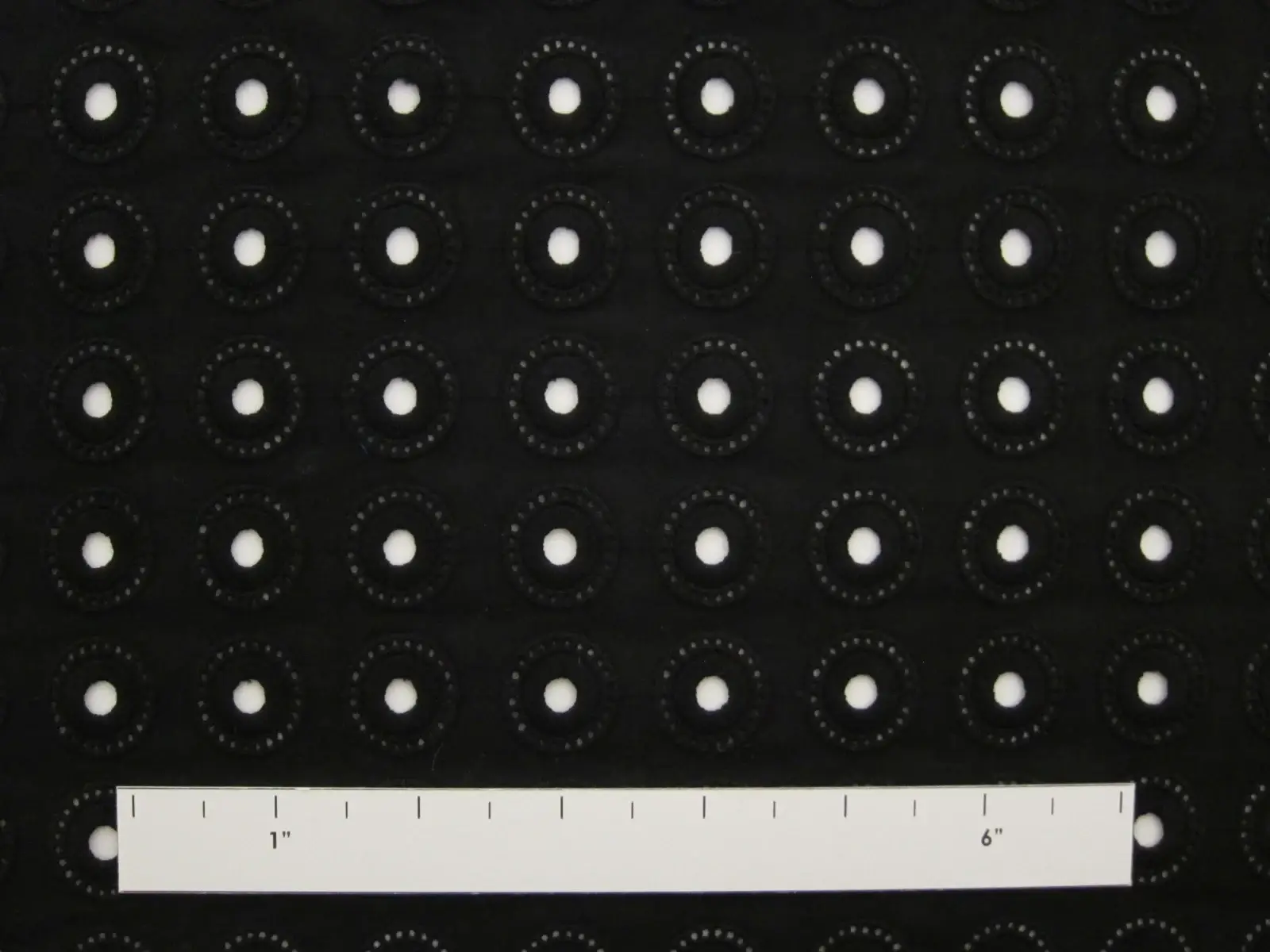 Cotton Eyelet1